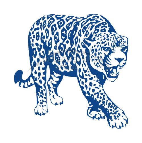 Homemade South Alabama Jaguars Iron-on Transfers (Wall Stickers)NO.6182